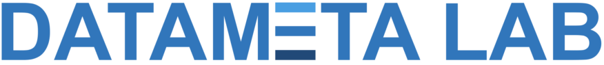 DataMeta Lab