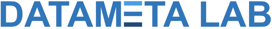 DataMeta Lab